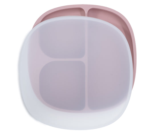 Suction Plate with Lid