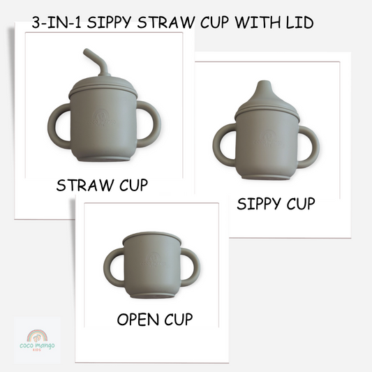3-in-1 sippy straw cup with lid