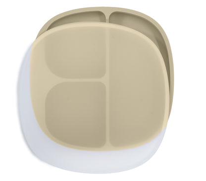 Suction Plate with Lid