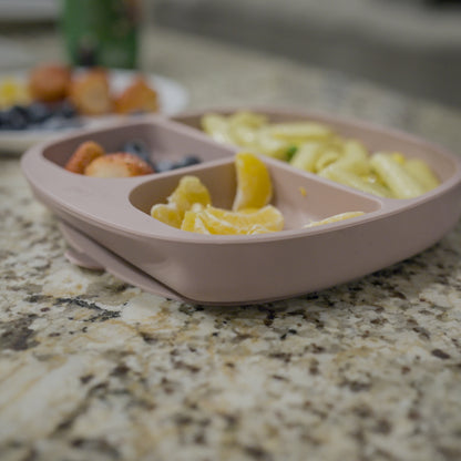 Suction Plate with Lid